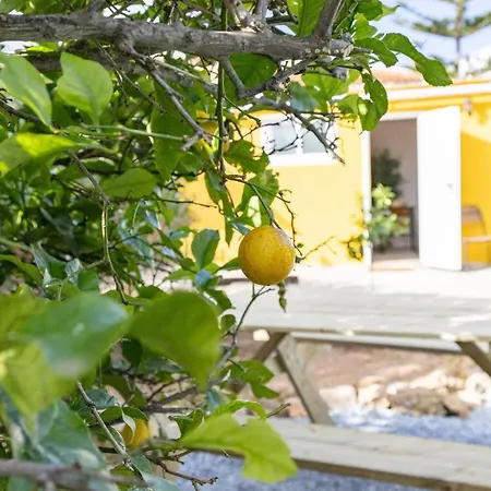 Tiny House Long-term Remote Work Near Valencia * מונסראט