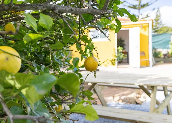 Tiny House Long-term Remote Work Near Valencia * Monserrat